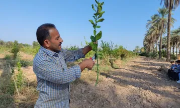 بیش از۱۰۰۰دانش آموز بسیجی در هفته مبارک بسیج به اردو راهیان پیشرفت اعزام شدند.