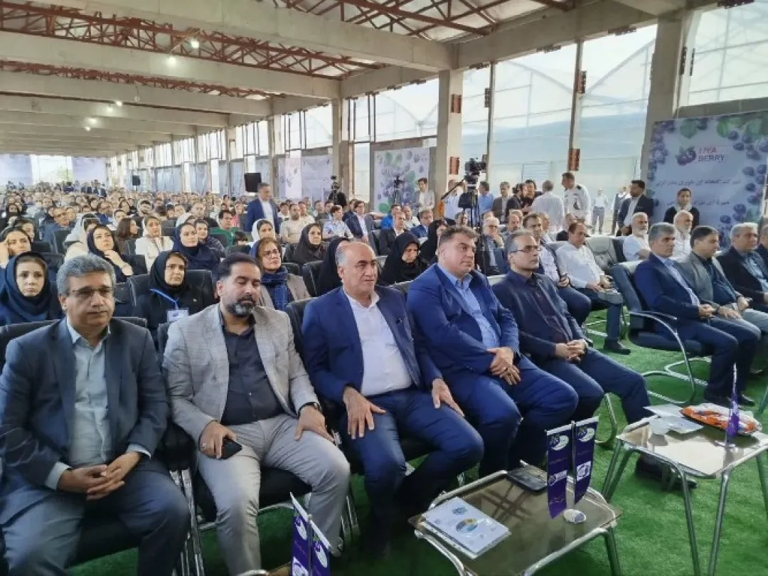 برگزاری نخستین جشنواره ملی بلوبری در شهرک گلخانه‌ای بندر انزلی