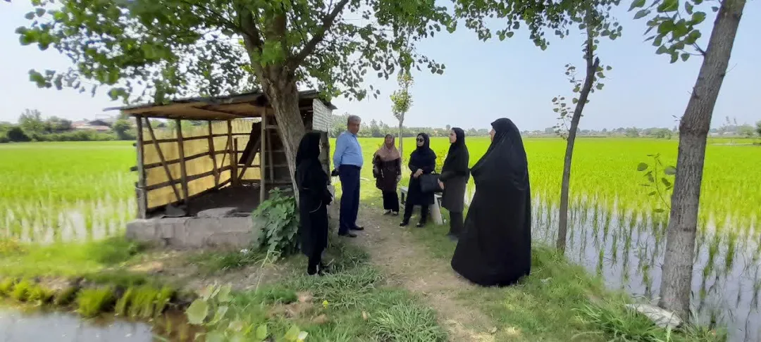 نقش زنان در فرآيند توسعه روستايی و كشاورزی