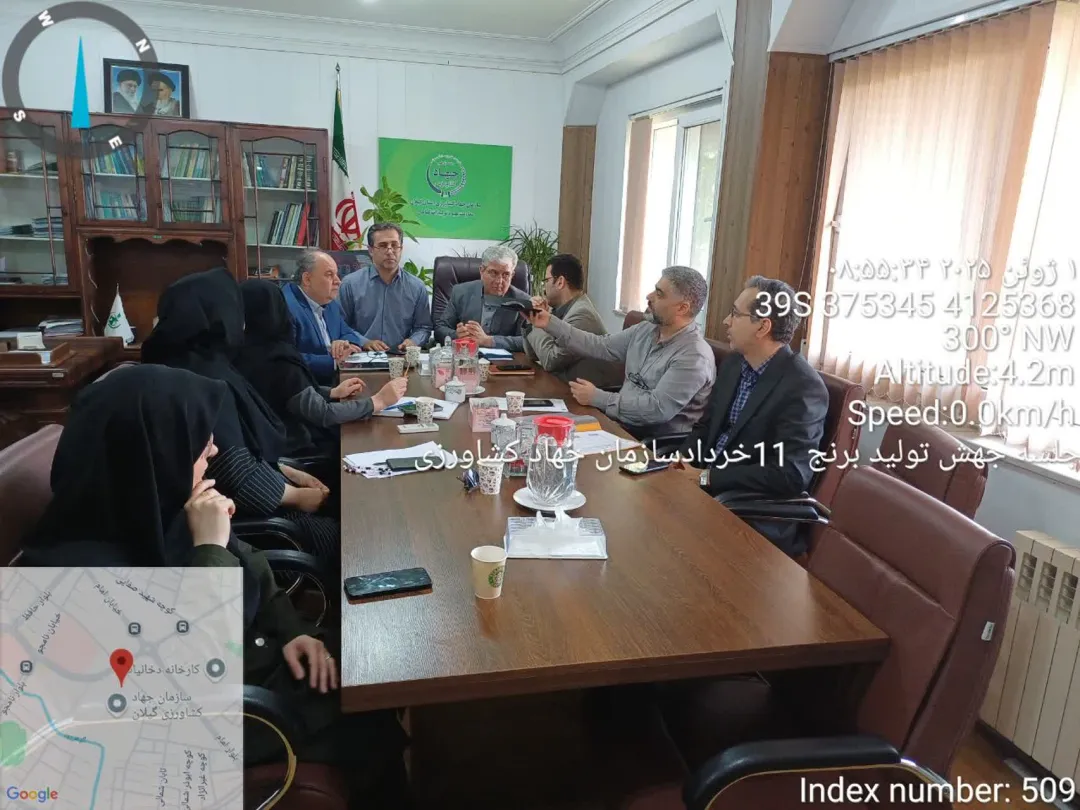 جهش تولید برنج در گیلان؛ گامی بلند به سوی خودکفایی، اشتغال و کشاورزی پایدار