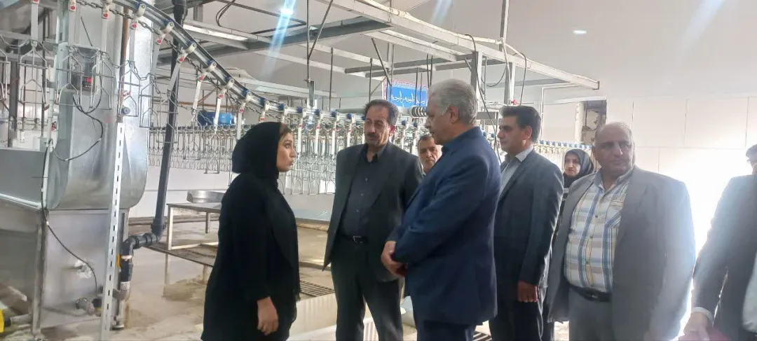 افتتاح نخستین کشتارگاه صنعتی بلدرچین در استان مرکزی؛ گامی بلند در راستای تکمیل زنجیره ارزش و توسعه پایدار