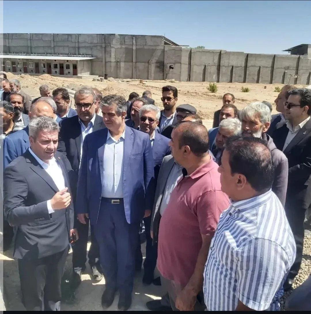 پرورش شترمرغ در استان مرکزی و پیگیری موانع تولید