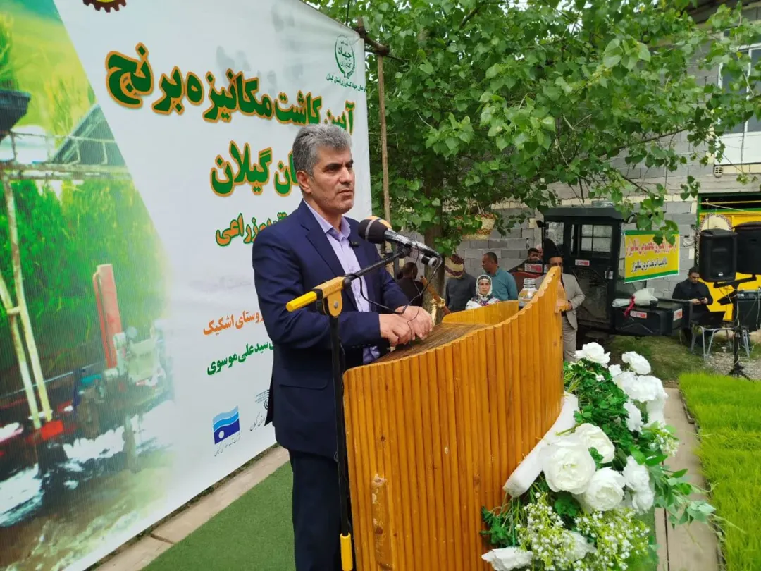 کشت برنج در گیلان با حضور استاندار آغاز شد